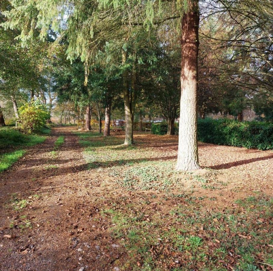 Chalet Beau Rivage Gunsbach Zewnętrze zdjęcie